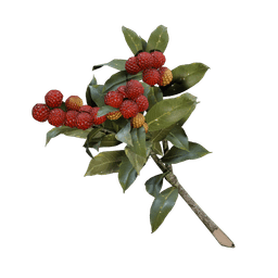 Candleberries